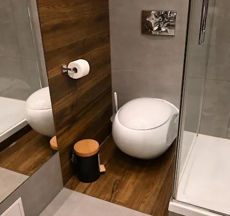 Apartment Silver - Stara Polana *