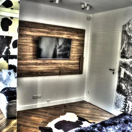 Silver - Stara Polana