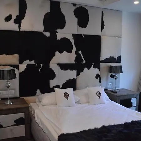 Silver - Stara Polana